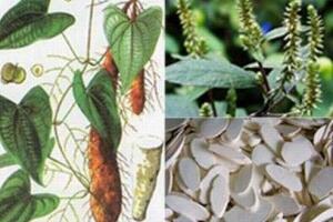 Công dụng chữa bệnh của củ mài