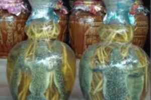 Bài thuốc chữa bệnh từ rượu tắc kè