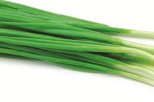 Ăn hành giúp ngừa ung thư