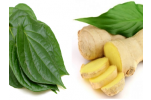 Bật mí 3 cách chữa ho bằng lá trầu không cực kỳ đơn giản