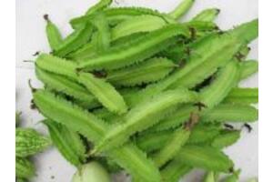 5 bài thuốc chữa bệnh đau dạ dày bằng thuốc dân gian