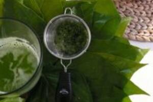 Bật mí cách chữa bệnh tổ đỉa bằng lá lốt