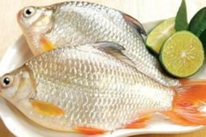 3 món ăn từ cá giúp quý ông yếu sinh lý trở nên sung mãn