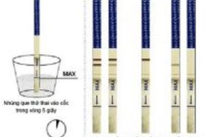 Chi tiết cách sử dụng que thử thai tại nhà