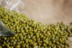 Bất ngờ với cách chữa bệnh gout bằng đậu xanh hiệu quả