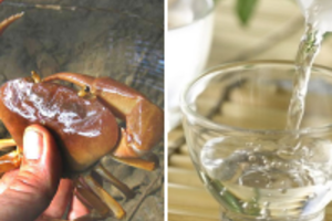 Sự thật về cách chữa bệnh gout bằng cua đồng