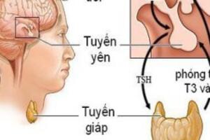 Xét nghiệm chức năng tuyến giáp