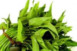 Những bài thuốc hay từ rau muống