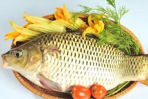 Cá chép - Bổ âm, chữa bệnh phụ nữ
