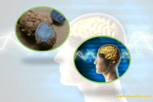 Tinh bột nghệ có tác dụng cải thiện trí nhớ cho người lớn tuổi