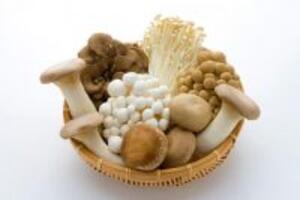 Dùng nấm để phòng ung thư hiệu quả hơn