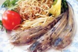 Mách bạn những món ăn bài thuốc từ cá ngát