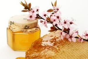 Những thực phẩm giúp bài thải chất độc ra khỏi cơ thể