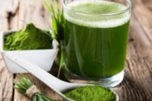 Uống chùm ngây có tác dụng điều trị thiếu máu không?