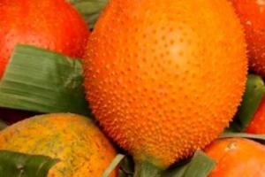 Những điều chưa biết về quả Gấc