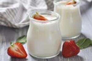 Hỗ trợ điều trị bệnh gout bằng sữa chua hiệu quả