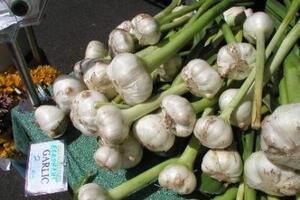 Dứa, tỏi chống ung thư