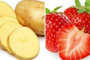 3 cách trị mụn cám đơn giản với khoai tây tại nhà