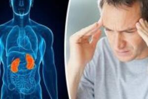 Ăn Gì Bổ Thận Nam?