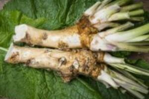 Cải ngựa công thức làm đẹp trị tàn nhang và mụn thâm