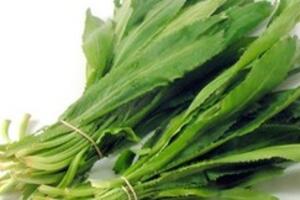 5 bài thuốc hay từ ngò gai