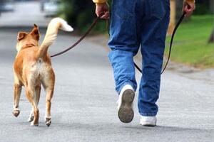 Chia sẽ cách đốt cháy calo không cần tập thể dục