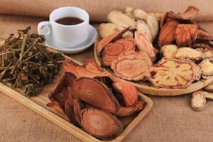 Cây cỏ máu chảy ra "máu đỏ" được coi như thần dược có trồng được không?