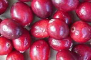 Điểm danh những loại quả mẹ bầu nên ăn để có sức khỏe tốt trong thai kỳ