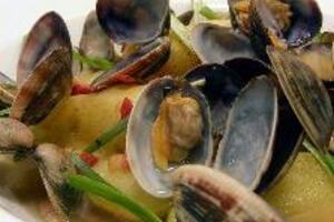 Ngao - Siêu thực phẩm bổ dưỡng cho mọi ngườiNgao giàu giá trị dinh dưỡng, giúp cơ thể bổ sung nhiều chất và tăng cường khả năng chống bệnh. Dưới đây xin giới thiệu những tác dụng tuyệt vời của ngao.