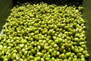 Đậu xanh thanh nhiệt Kết hợp đậu xanh, đậu đen, đậu đỏ, mỗi thứ 300 g nấu chung với cam thảo, ăn cả bã lẫn nước trong vòng 7 ngày, có thể phòng các chứng bệnh mùa hè.