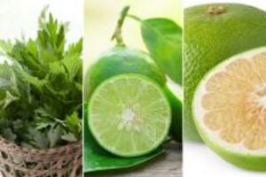 2 bài thuốc chữa bệnh gai cột sống hiệu quả