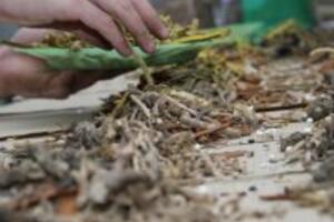 2 phương pháp điều trị bệnh vảy nến hiệu quả mà bạn cần biết