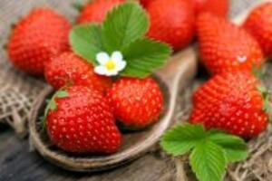 4 loại mặt nạ trị mụn dễ làm cho mùa đông