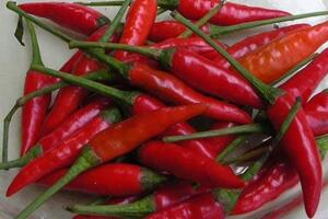 Sự diệu kỳ của ớt đối với sức khỏeCác nhà khoa học ngày nay phát hiện ra hàng chục công dụng của ớt và loại gia vị này càng cay thì chống bệnh càng tốt.