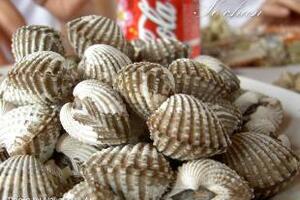 Sò huyết tráng dươngSò huyết không chỉ là hải sản ngon, bổ mà nó còn là đặc sản dành riêng cho những cặp vợ chồng đang hưởng tuần trăng mật...