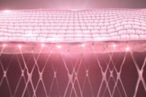 Sâm Angela gold giúp tăng cường khả năng sinh lý nữ như thế nào?