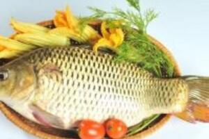 12 thực phẩm vàng người bị viêm khớp không nên bỏ qua