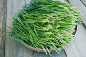 Bài thuốc quý giúp nam giới thăng hoa trong chuyện ấy từ LÁ HẸ