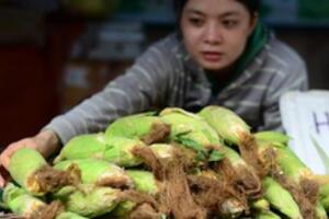 Ăn bắp xin giữ râu làm thuốc uống