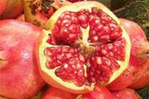 Lựu ngừa ung thư vúKhoa học hiện đại đã phát hiện lựu không chỉ là một loại trái cây có giá trị giải khát cao, mà lựu còn là một loại quả thiên nhiên có tác dụng làm giảm nguy cơ mắc ung thư vú ở phụ nữ...