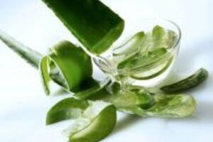 Cách trị sẹo lồi siêu đơn giản từ thiên nhiên