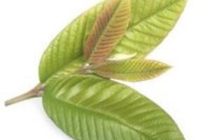 6 cách chữa đau bụng kinh bằng mẹo