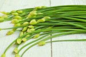 Những cách dùng lá hẹ chữa ho mà bạn có thể dễ dàng áp dụng