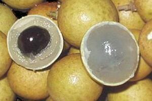 Nhãn chống được nhiều bệnhCùi nhãn trắng trong có vị ngọt. Nó có chứa nhiều khoáng chất, vitamin A, C, kali, photpho, magie và sắt. Do vậy mà ăn nhãn sẽ có nhiều tác dụng cho sức khỏe.