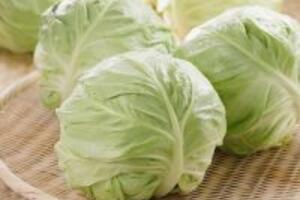 Bắp cải: Thực phẩm giàu dinh dưỡng dành cho mọi người