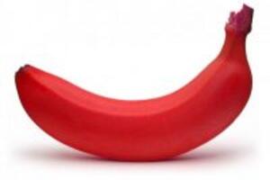 Chuối đỏ và những lợi ích không ai ngờ tới