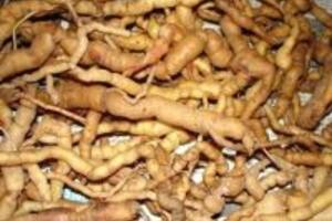 Cách chữa bệnh yếu sinh lý ở nam giới