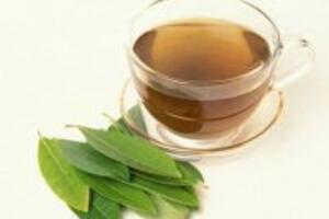 Cách chữa bệnh gout bằng lá vối tươi an toàn, hiệu quả nhanh chóng