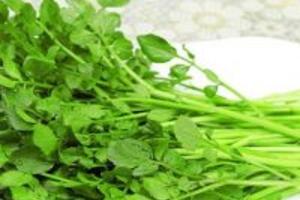 Công dụng của cải xoong