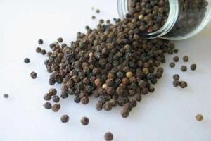 Tác dụng chữa bệnh của hạt tiêu đenHạt tiêu đen được dùng làm thuốc chữa nhiều thứ bệnh như hen suyễn, đau nhức, đau họng, trĩ, rối loạn đường tiết niệu, tả, sốt định kỳ và chứng khó tiêu...